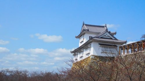 岡山県のクライミング施設「ボルダリングクラブ F.T（エフティー）」