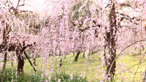 愛知県のクライミング施設「クライミングジム aim（エイム）」