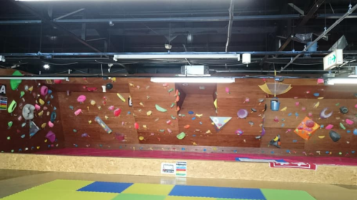 鹿児島県のクライミング施設「クライミングパーク CISCO（シスコ）」