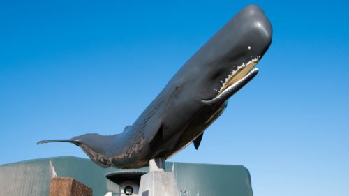 鹿児島県のクライミング施設「大坂ボルダリング施設」