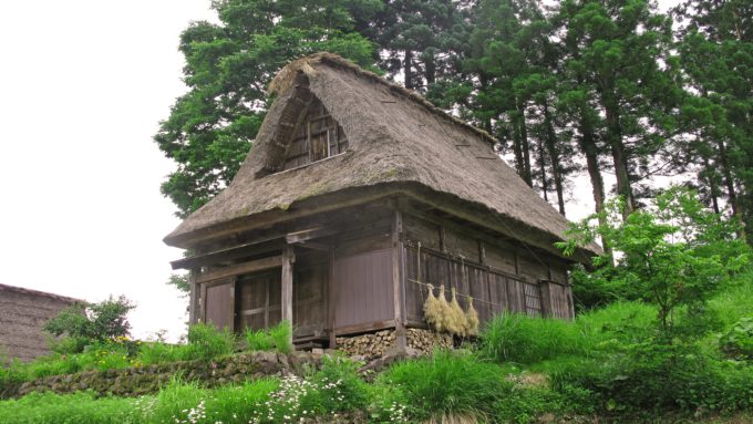 富山県のクライミング施設「桜ヶ池クライミングセンター」