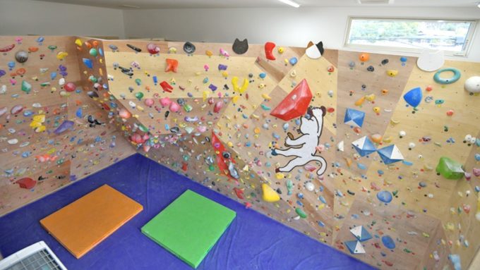岡山県のクライミング施設「ボルダリングルーム ねこのて」
