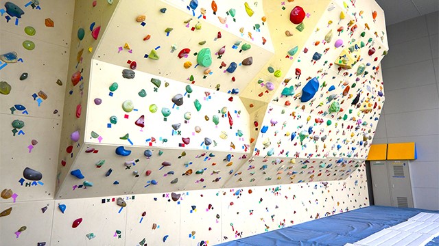 宮城県のクライミング施設「元気フィールド仙台」です。
