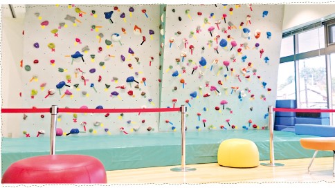 佐賀県のクライミング施設「あいぱれっと」です。