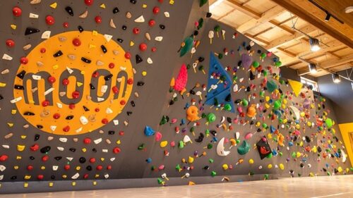 青森県のクライミング施設「TAiiKU ( タイイク )」