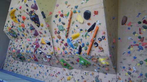 宮城県のクライミング施設「元気フィールド仙台」