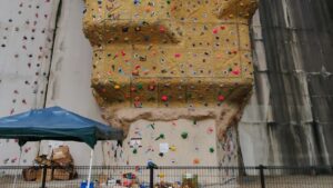 大阪府のクライミング施設「ほしだ園地 クライミングウォール」